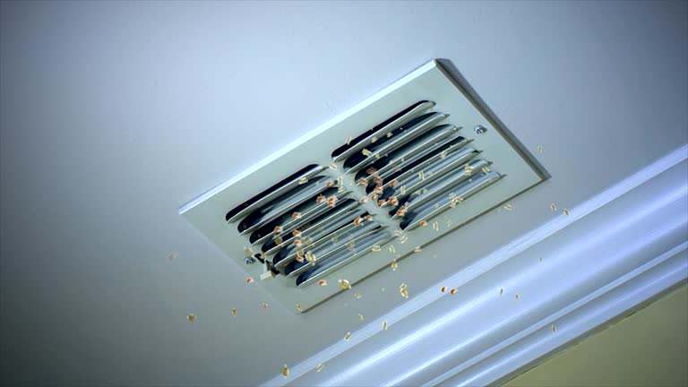 Best Ventilation Cleaning Services  in USA